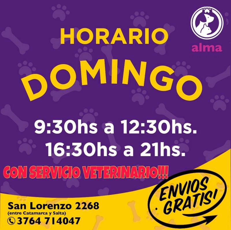 4veterinario
