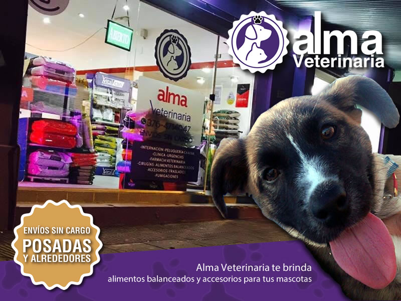 800x800almavet1