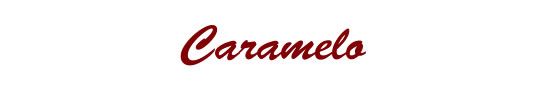 545x90carameloposadasmisiones
