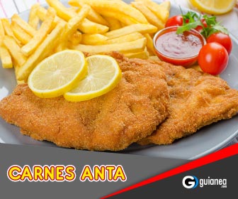 Elaboración de Milanesas Carnes Anta Posadas Misiones