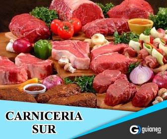 336x280carniceriasurposadas