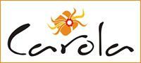 200x90carolaregaleria
