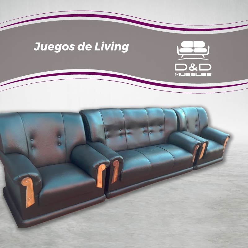 imagen8
