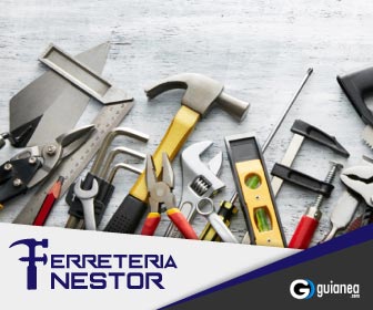 336x280nestor