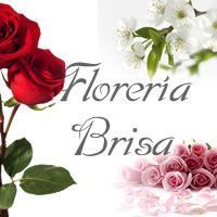 floreria brisa, la floreria en posadas misiones