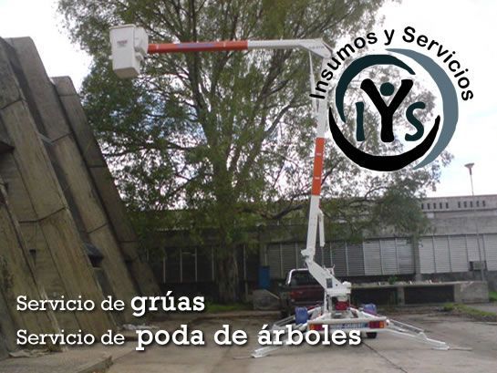 alquiler de autoelevadoras y grúas