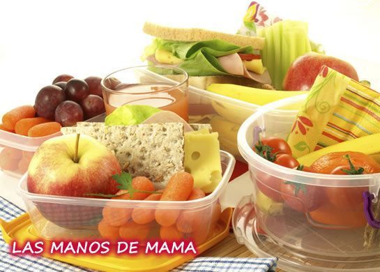 viandas en posadas comidas en posadas las manos de mama