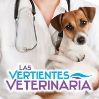 veterinarias posadas misiones las vertientes perros gatos mascotas alimentos balanceados baños cortes peluqueria canina