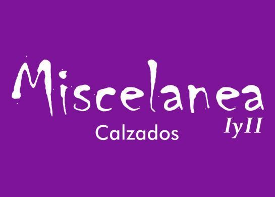 miscelania zapateria posadas calzados