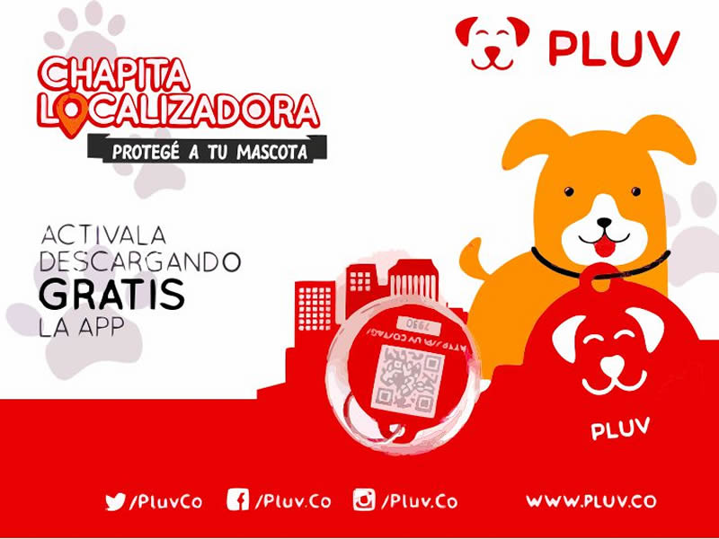 Por Amor a Mora Spa y Moda Canina Posadas Misiones