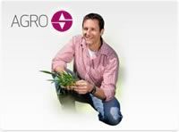 1003sancorsegurosstockar