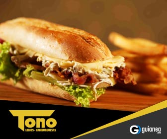 336x280tonoguianea1