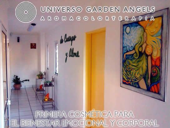 nuevouniversogardenangels