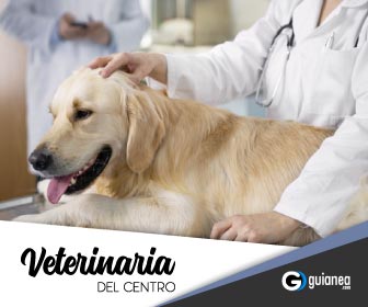 Veterinaria del Centro Posadas Misiones